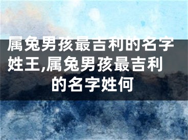 属兔男孩最吉利的名字姓王,属兔男孩最吉利的名字姓何