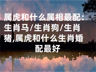 属虎和什么属相最配：生肖马/生肖狗/生肖猪,属虎和什么生肖婚配最好
