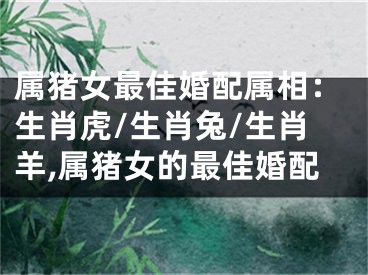 属猪女最佳婚配属相：生肖虎/生肖兔/生肖羊,属猪女的最佳婚配