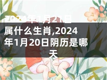 2024年1月21日属什么生肖,2024年1月20日阴历是哪天
