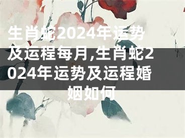 生肖蛇2024年运势及运程每月,生肖蛇2024年运势及运程婚姻如何