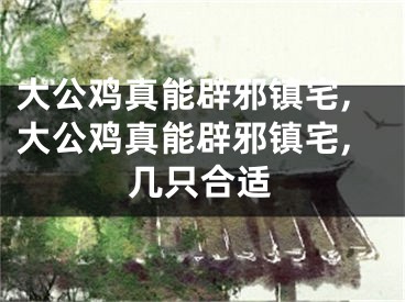 大公鸡真能辟邪镇宅,大公鸡真能辟邪镇宅,几只合适