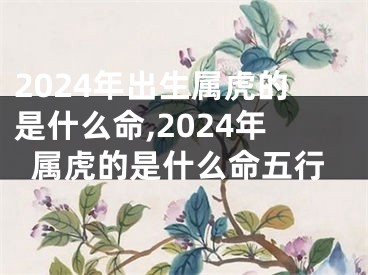 2024年出生属虎的是什么命,2024年属虎的是什么命五行