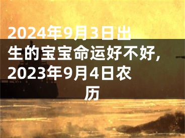 2024年9月3日出生的宝宝命运好不好,2023年9月4日农历