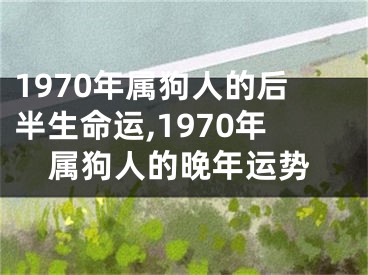 1970年属狗人的后半生命运,1970年属狗人的晚年运势
