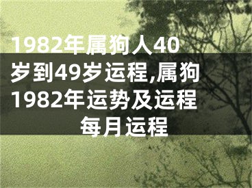 1982年属狗人40岁到49岁运程,属狗1982年运势及运程每月运程
