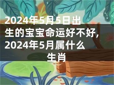 2024年5月5日出生的宝宝命运好不好,2024年5月属什么生肖