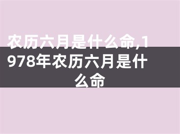 农历六月是什么命,1978年农历六月是什么命