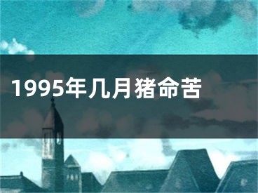 1995年几月猪命苦