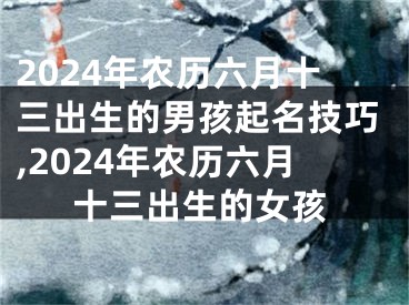 2024年农历六月十三出生的男孩起名技巧,2024年农历六月十三出生的女孩