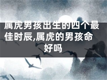 属虎男孩出生的四个最佳时辰,属虎的男孩命好吗