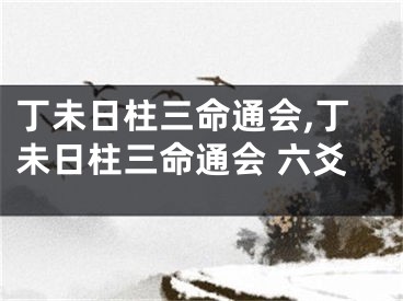 丁未日柱三命通会,丁未日柱三命通会 六爻