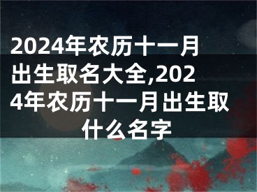 2024年农历十一月出生取名大全,2024年农历十一月出生取什么名字