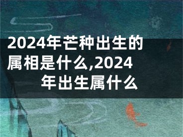2024年芒种出生的属相是什么,2024年出生属什么