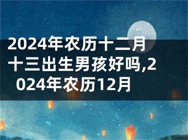 2024年农历十二月十三出生男孩好吗,2024年农历12月