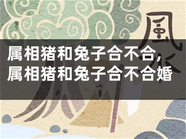 属相猪和兔子合不合,属相猪和兔子合不合婚