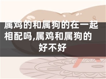 属鸡的和属狗的在一起相配吗,属鸡和属狗的好不好