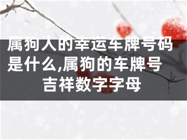 属狗人的幸运车牌号码是什么,属狗的车牌号吉祥数字字母