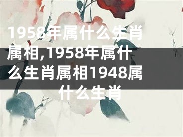 1958年属什么生肖属相,1958年属什么生肖属相1948属什么生肖