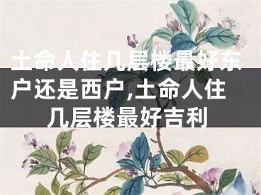 土命人住几层楼最好东户还是西户,土命人住几层楼最好吉利