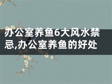 办公室养鱼6大风水禁忌,办公室养鱼的好处