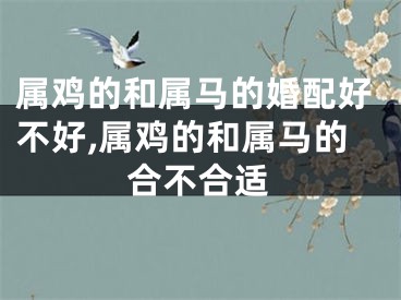 属鸡的和属马的婚配好不好,属鸡的和属马的合不合适
