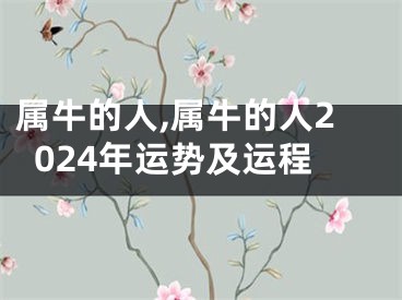 属牛的人,属牛的人2024年运势及运程