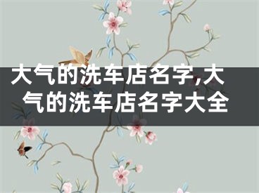大气的洗车店名字,大气的洗车店名字大全