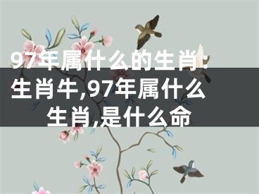 97年属什么的生肖：生肖牛,97年属什么生肖,是什么命