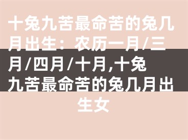 十兔九苦最命苦的兔几月出生：农历一月/三月/四月/十月,十兔九苦最命苦的兔几月出生女