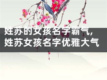 姓苏的女孩名字霸气,姓苏女孩名字优雅大气