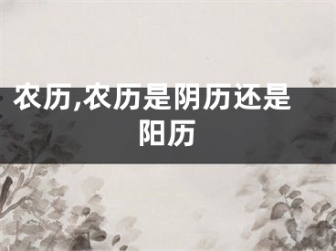 农历,农历是阴历还是阳历