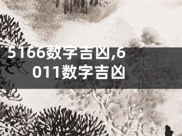 5166数字吉凶,6011数字吉凶