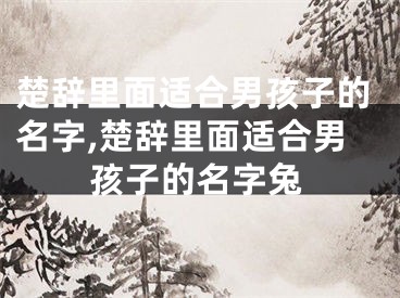 楚辞里面适合男孩子的名字,楚辞里面适合男孩子的名字兔