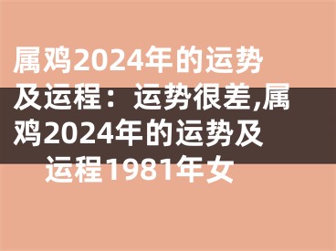 属鸡2024年的运势及运程：运势很差,属鸡2024年的运势及运程1981年女