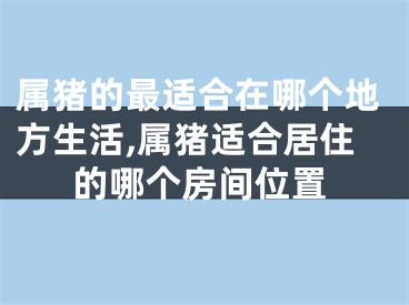 属猪的最适合在哪个地方生活,属猪适合居住的哪个房间位置