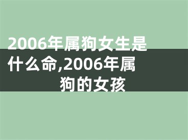 2006年属狗女生是什么命,2006年属狗的女孩