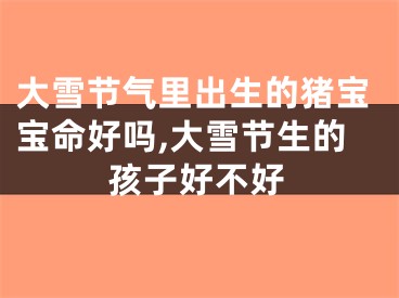 大雪节气里出生的猪宝宝命好吗,大雪节生的孩子好不好