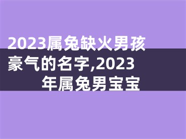 2023属兔缺火男孩豪气的名字,2023年属兔男宝宝