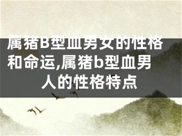 属猪B型血男女的性格和命运,属猪b型血男人的性格特点