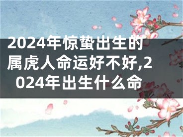 2024年惊蛰出生的属虎人命运好不好,2024年出生什么命
