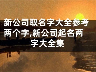 新公司取名字大全参考两个字,新公司起名两字大全集