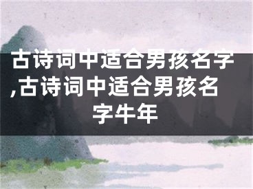 古诗词中适合男孩名字,古诗词中适合男孩名字牛年