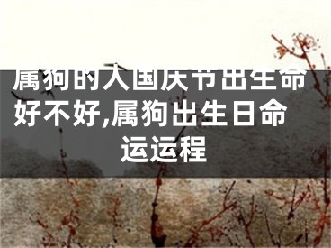 属狗的人国庆节出生命好不好,属狗出生日命运运程