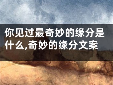 你见过最奇妙的缘分是什么,奇妙的缘分文案