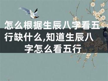 怎么根据生辰八字看五行缺什么,知道生辰八字怎么看五行