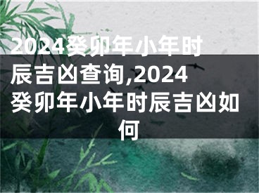 2024癸卯年小年时辰吉凶查询,2024癸卯年小年时辰吉凶如何