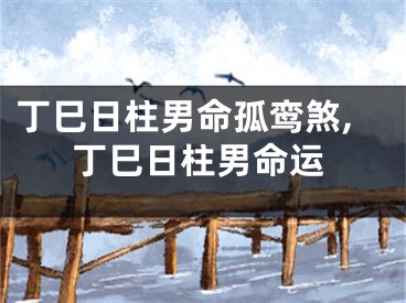 丁巳日柱男命孤鸾煞,丁巳日柱男命运