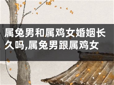 属兔男和属鸡女婚姻长久吗,属兔男跟属鸡女