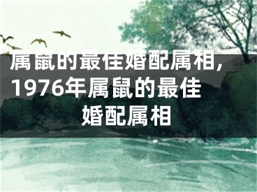 属鼠的最佳婚配属相,1976年属鼠的最佳婚配属相